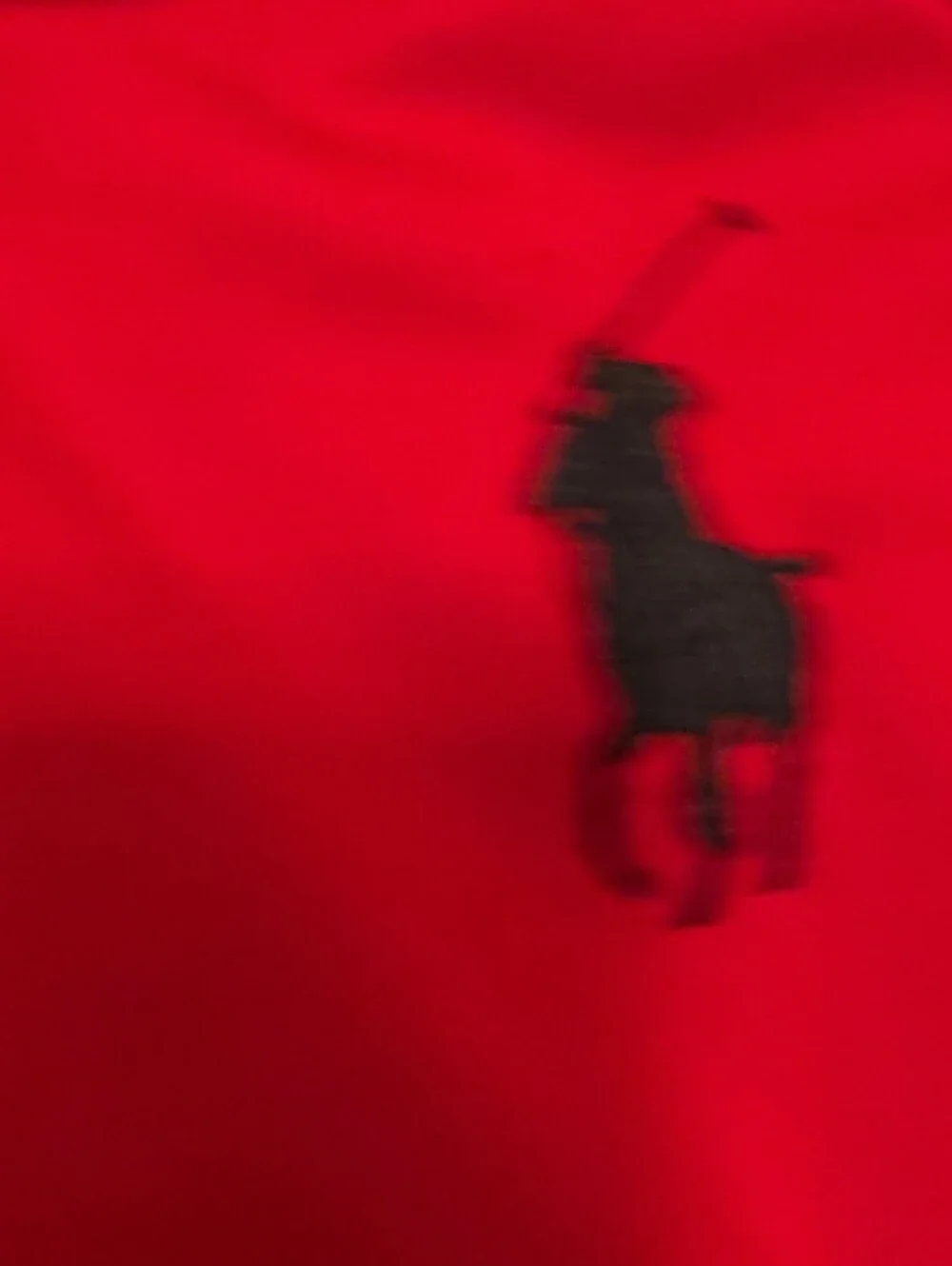 Polo Ralph Lauren classic hooded